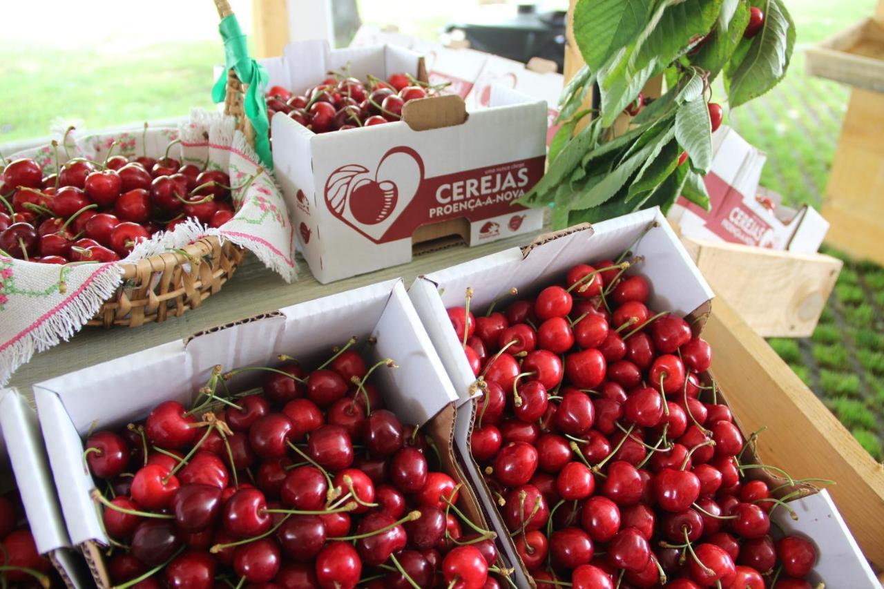 Montes da Senhora Monte Das Cerejas 빌라 외부 사진