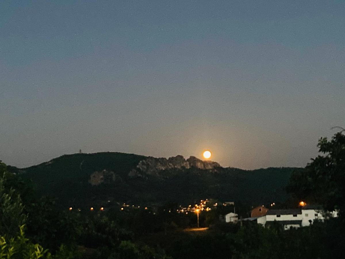 Montes da Senhora Monte Das Cerejas 빌라 외부 사진